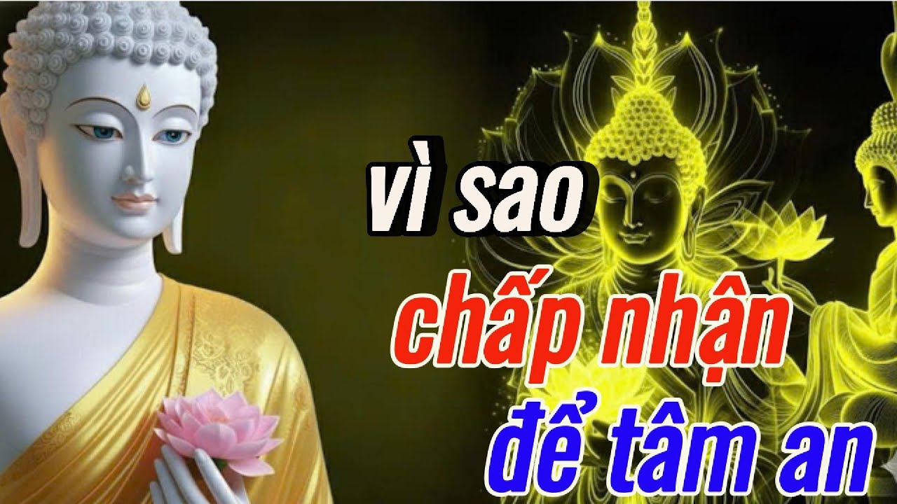 Phật Dạy:Vì Sao Châp Nhận Giúp Tâm An Nhanh Hơn