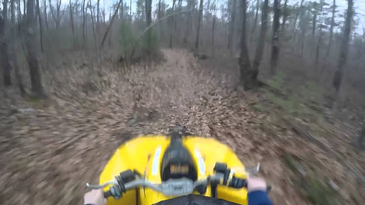 Renegade 500 with Bighorns and Dalton Clutch kit