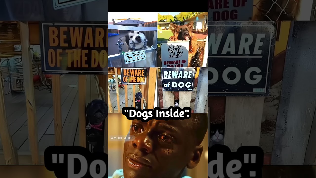 This funny meme shows how “beware of dog” signs don’t always match the dogs inside. 