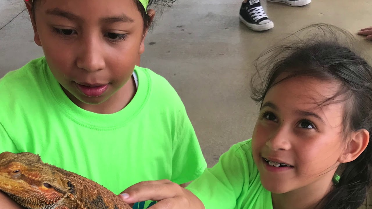 Hope For Miami - Summer 2018 Highlights