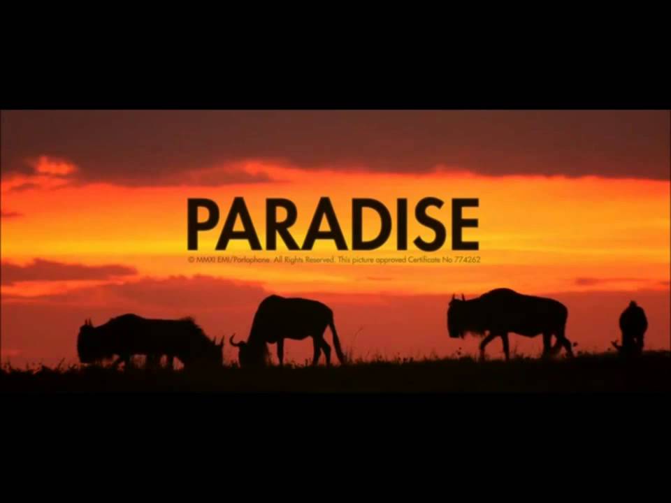 Coldplay   Paradise Instrumental