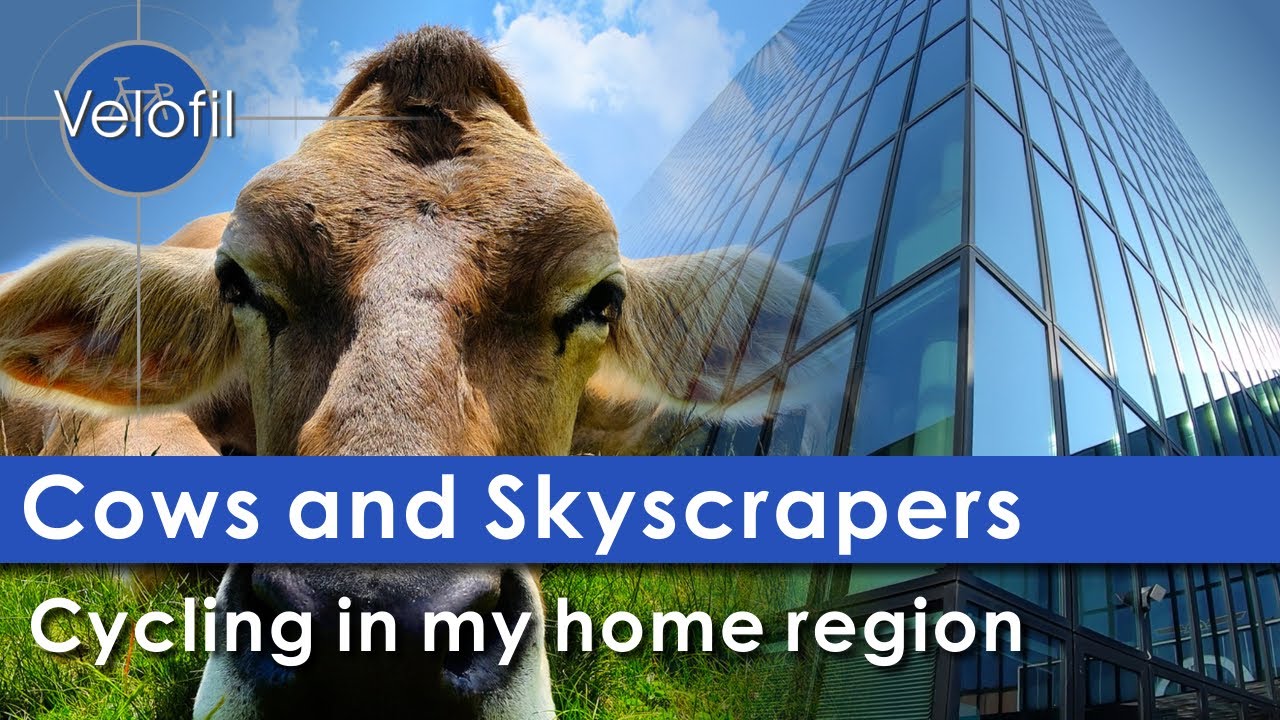 Basel, a very unique cycling experience between skyscrapers and cows