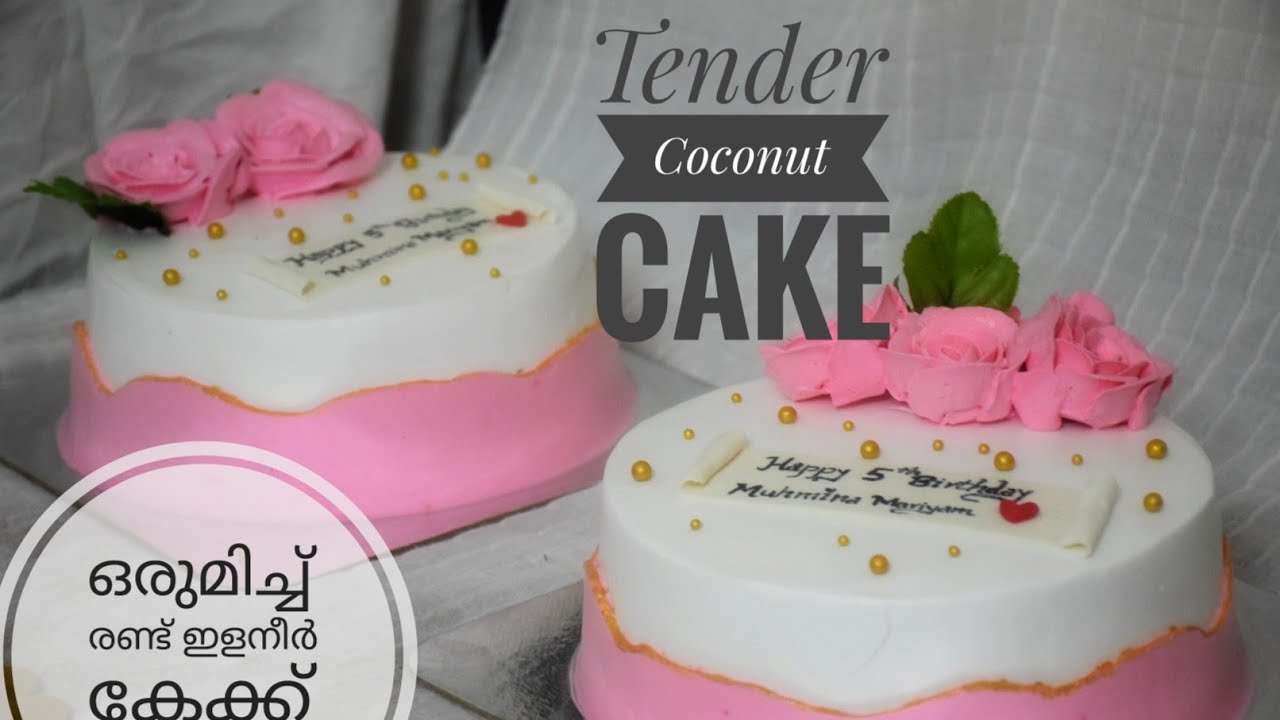 Tender Coconut Cake Recipe || കഴിച്ചാലും കഴിച്ചാലും മതിവരില്ല ഈ ഇളനീർ കേക്ക് 100%