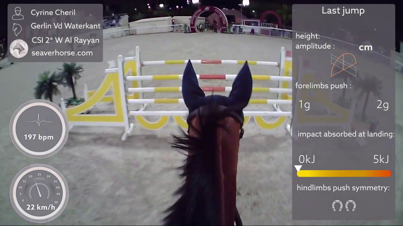 Cyrine Cherif et Gerlin au CSI2* d'Al Rayyan