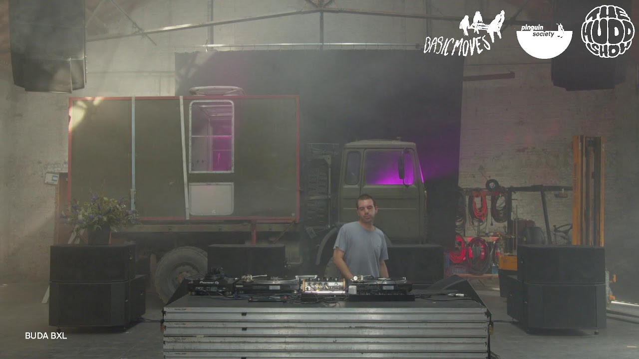 Walrus | themuddshow x Beautiful Freaks