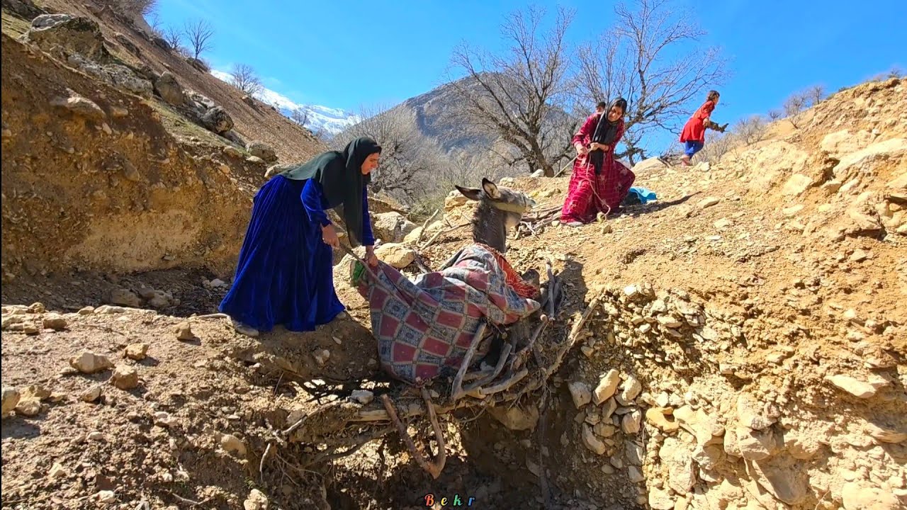 Sudden Incident:😱 Danger in the Mountains for the Family