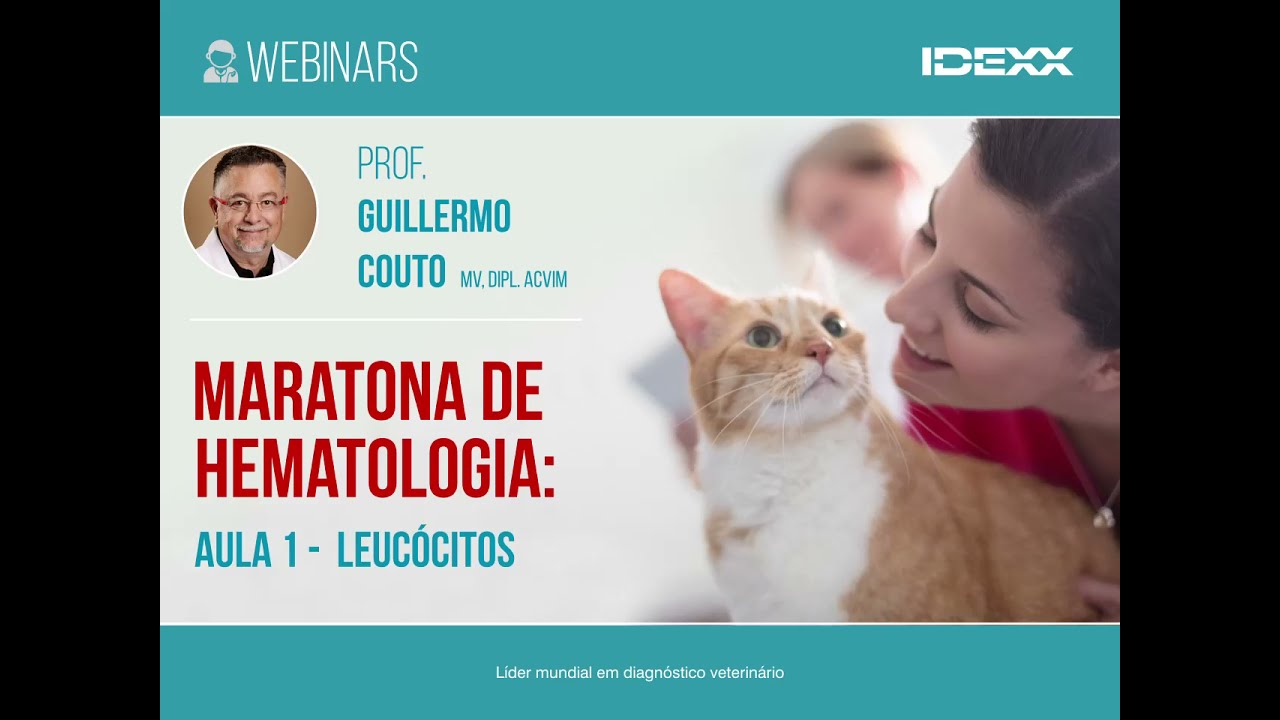 IDEXX | MARATONA DE HEMATOLOGIA | Aula 1 - Leucocitos