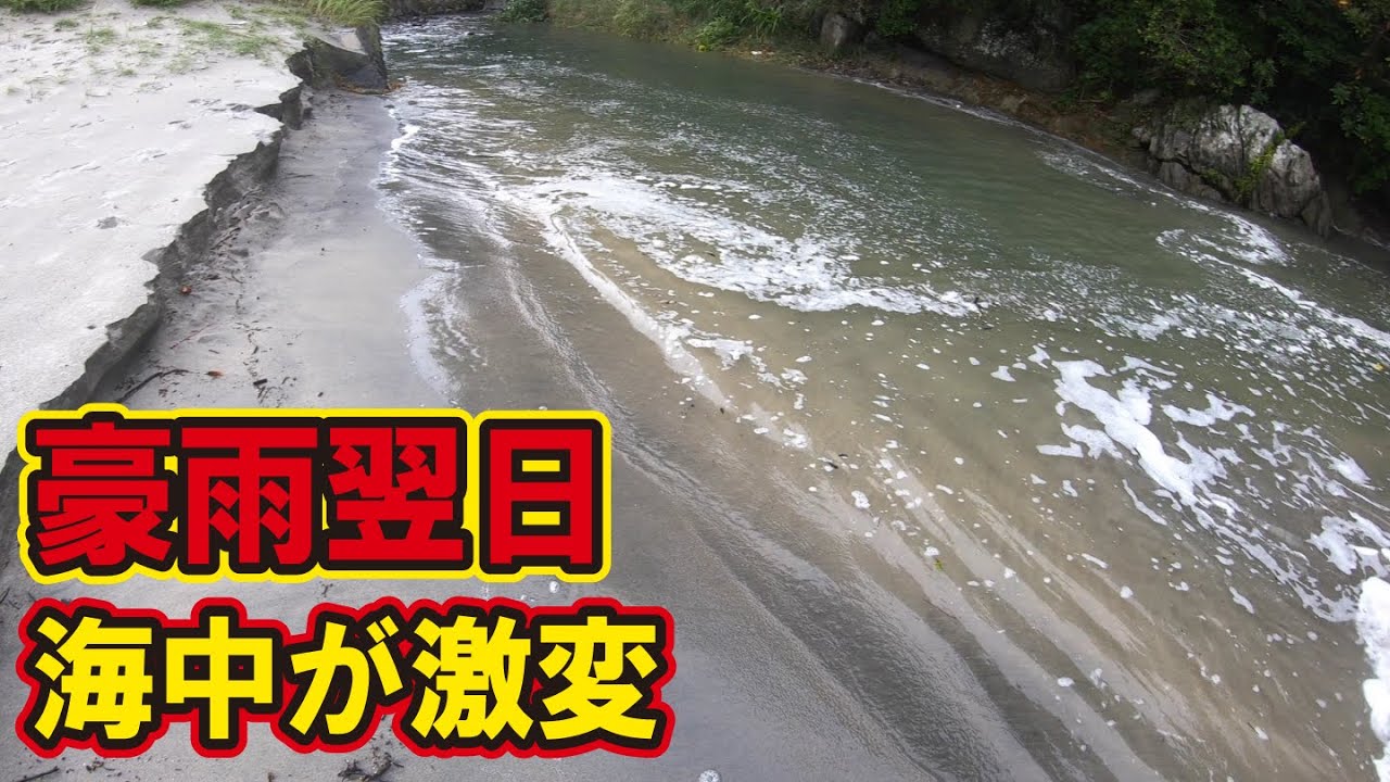 夏に記録的大雨が降った結果、海の環境が激変した件