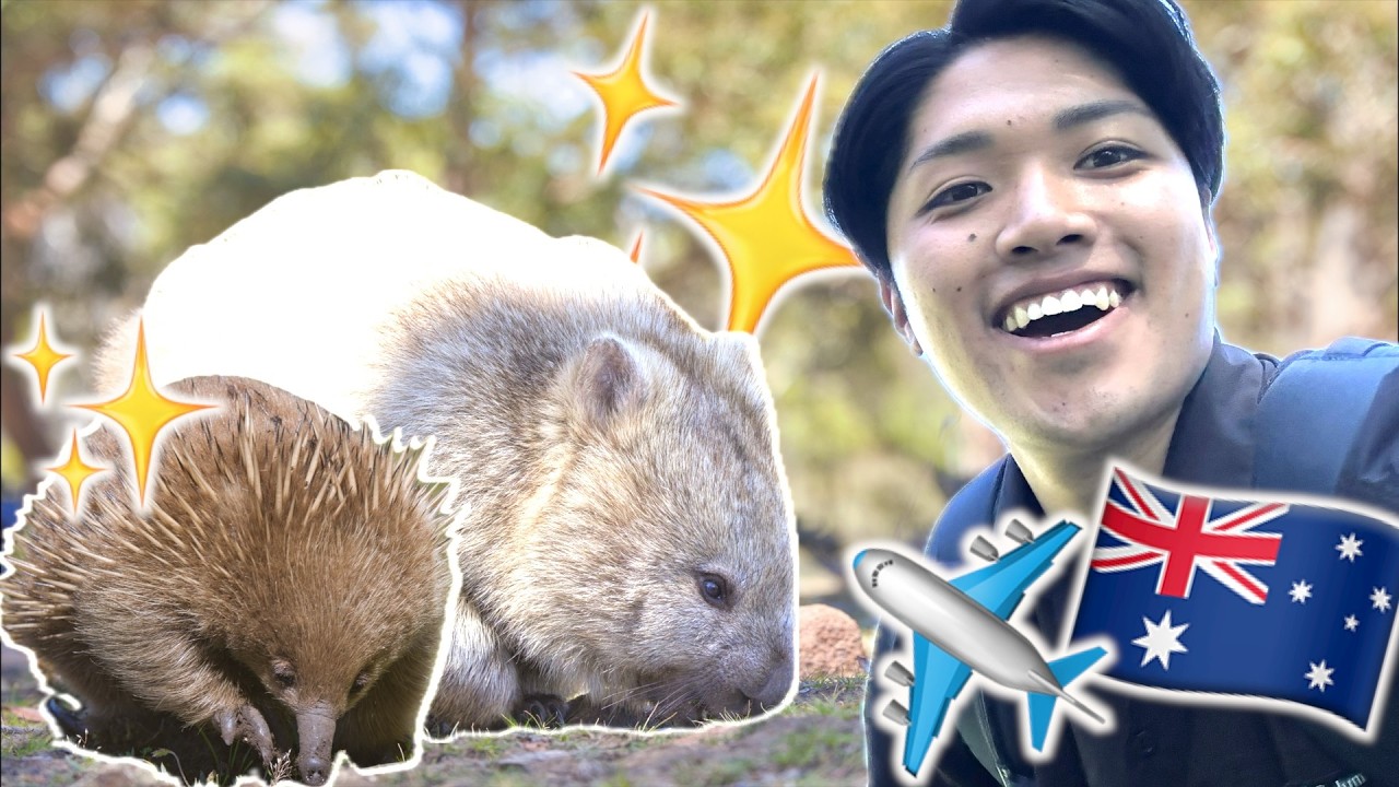 ウォンバットに会いたくてタスマニアに行ってきた！！！！【やばい最高めっちゃ楽しい】
