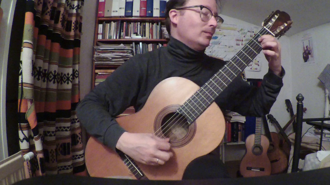 Marten Falk plays Recuerdos de la Alhambra on an 1878 guitar