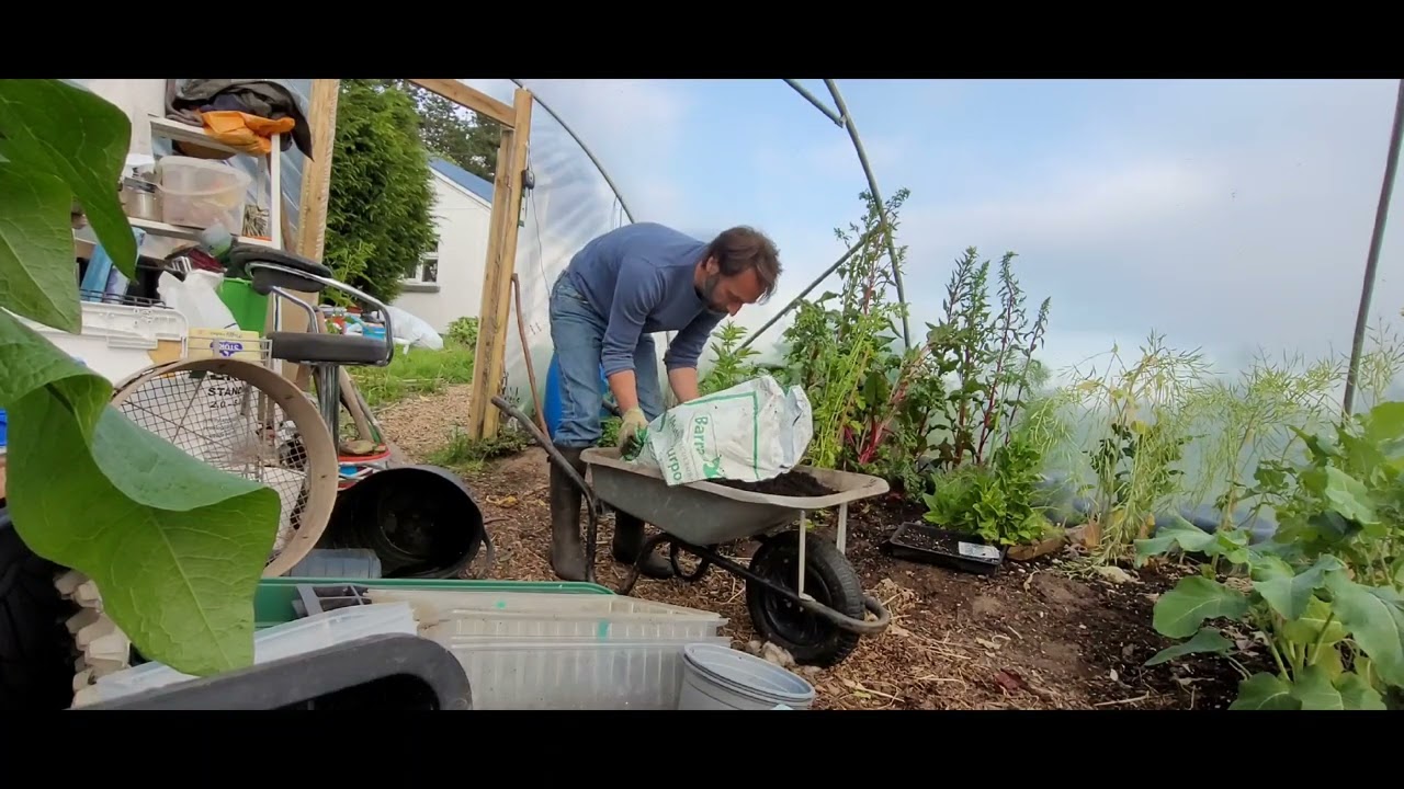 The Easiest Seed Starting Mix... notes from an Irish Garden