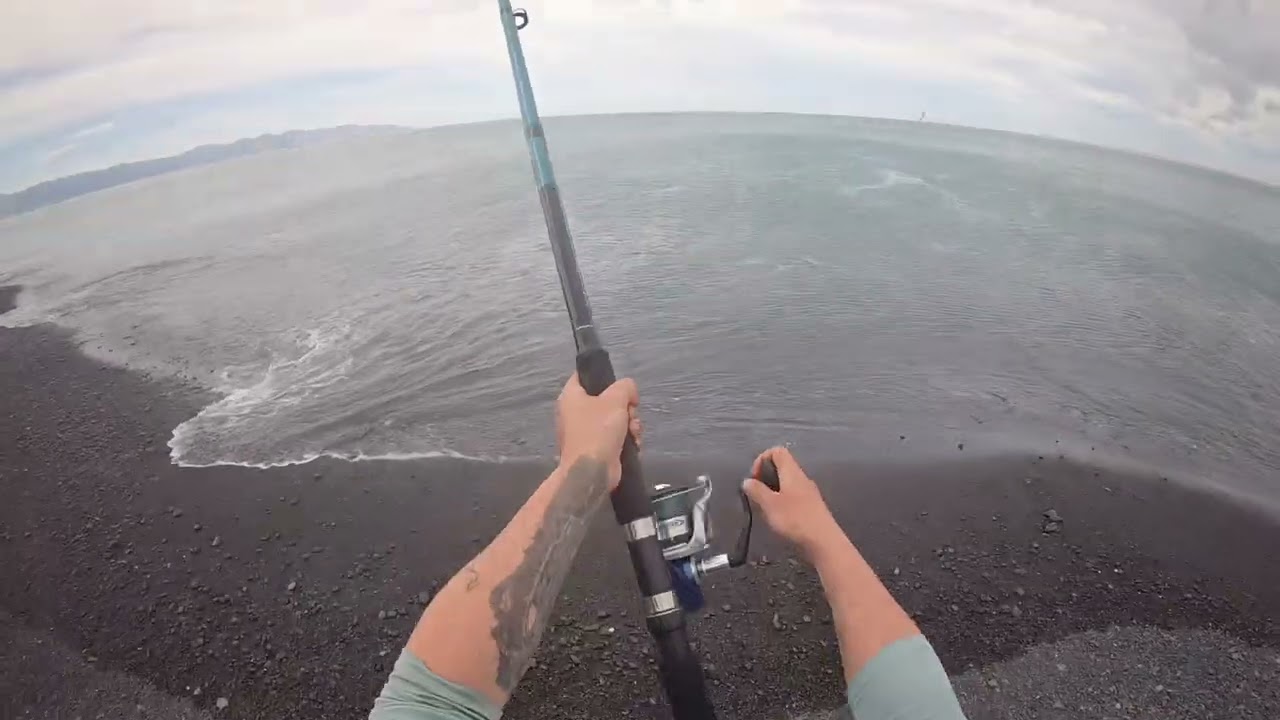 Fishing Wairarapa 