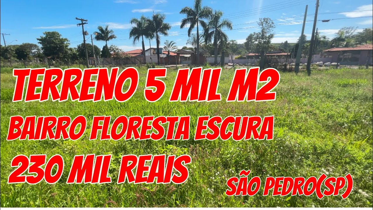 TERRENO DE 5 MIL M2, TODO ALAMBRADO E PLANO / A VENDA NO BAIRRO FLORESTA ESCURA EM SÃO PEDRO (SP)
