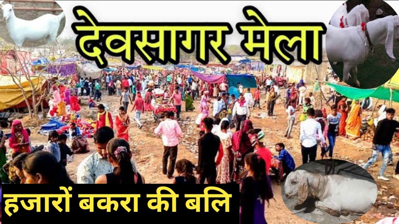 हिंगलाज माता मंदिर देवसागर मेला 2026 l Hinglaj Mata Mandir Devsagar l जेवरा दाई मंदिर देवसागर मेला l