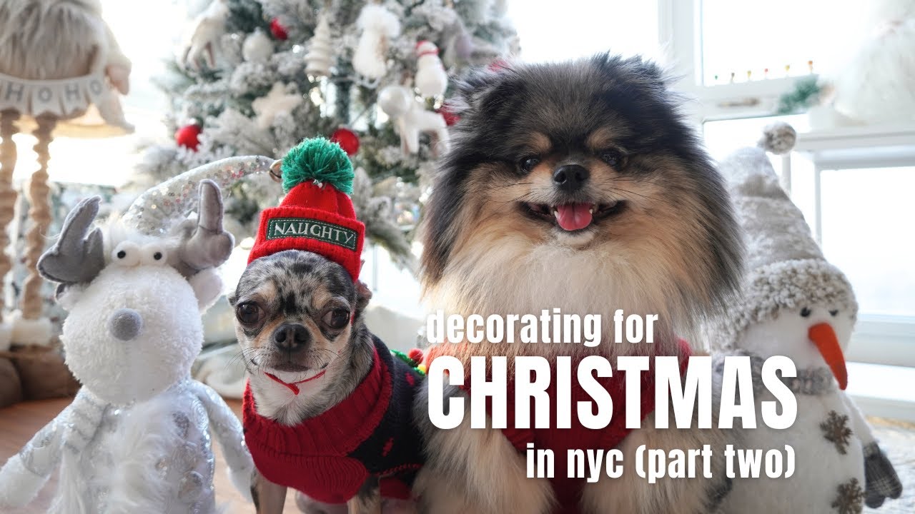 Christmas in NYC: Decorating our NYC Apartment with Our Dogs (Part Two) | Life in NYC