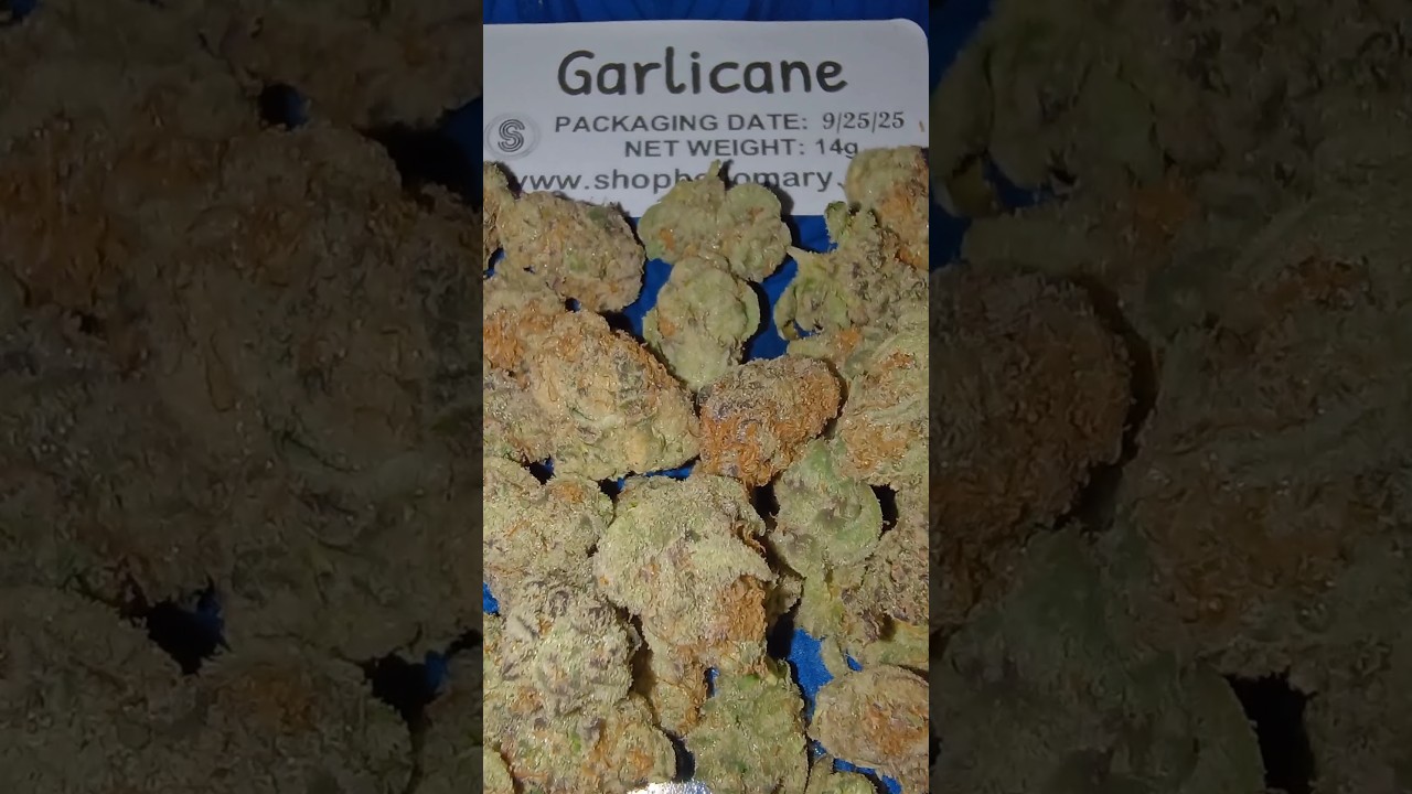 Garlicane @ShopHelloMaryOfficial #smokeweedeveryday #420blazeit #stayhigh #fire