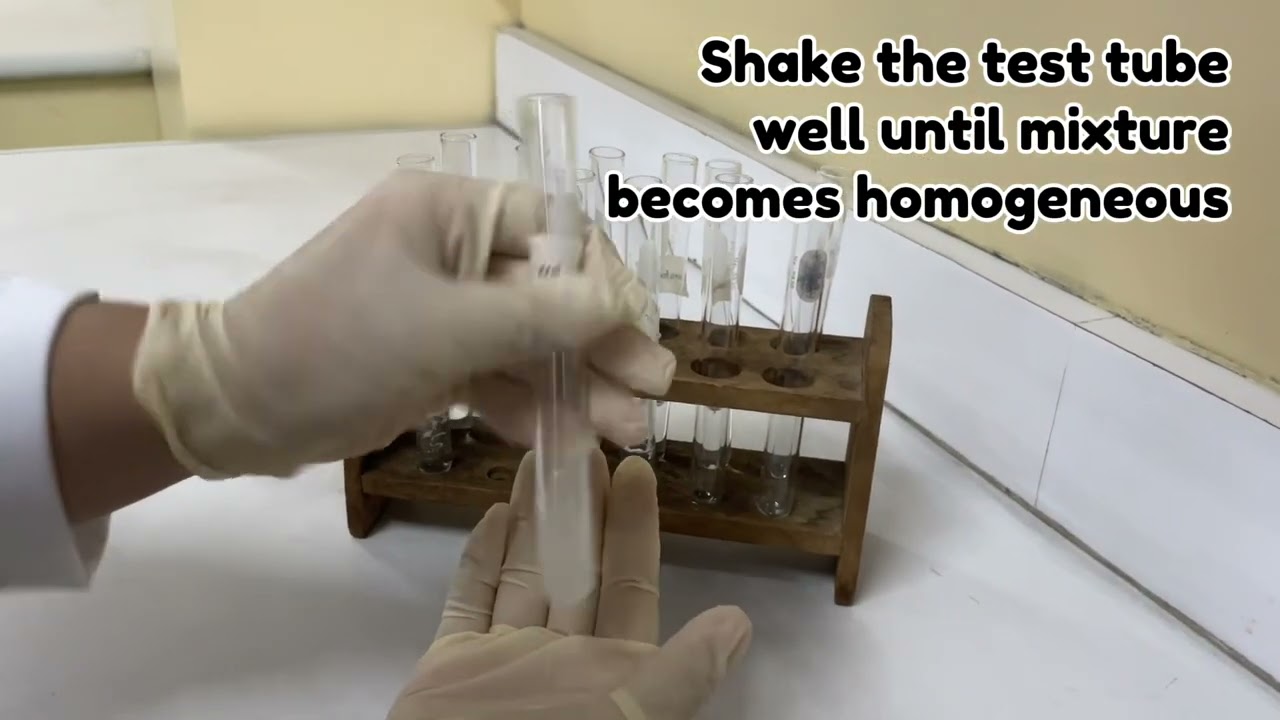 Extraction of Avocado Oil (+Solubility Test)