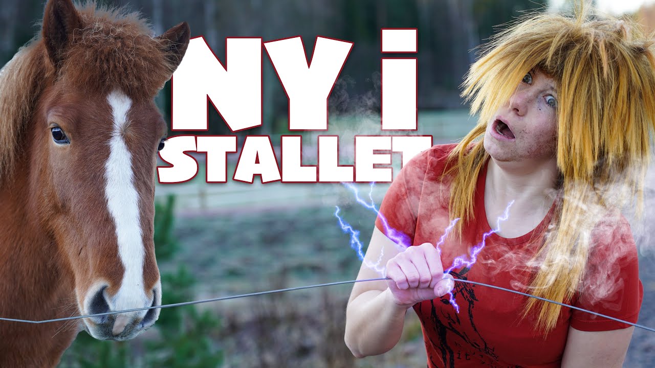 NYB&Ouml;RJARE I STALLET