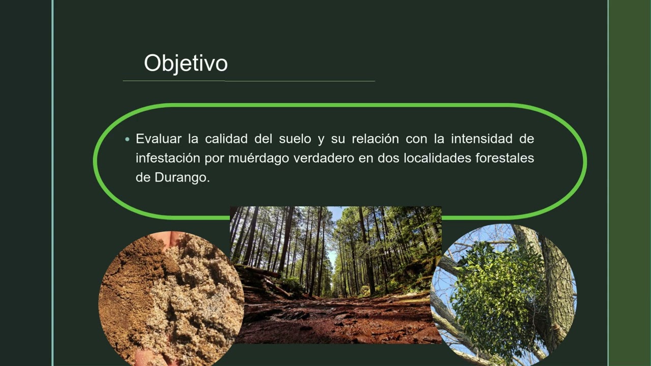 Calidad del suelo y su relación con el muérdago (Phoradendron) en bosques de Durango