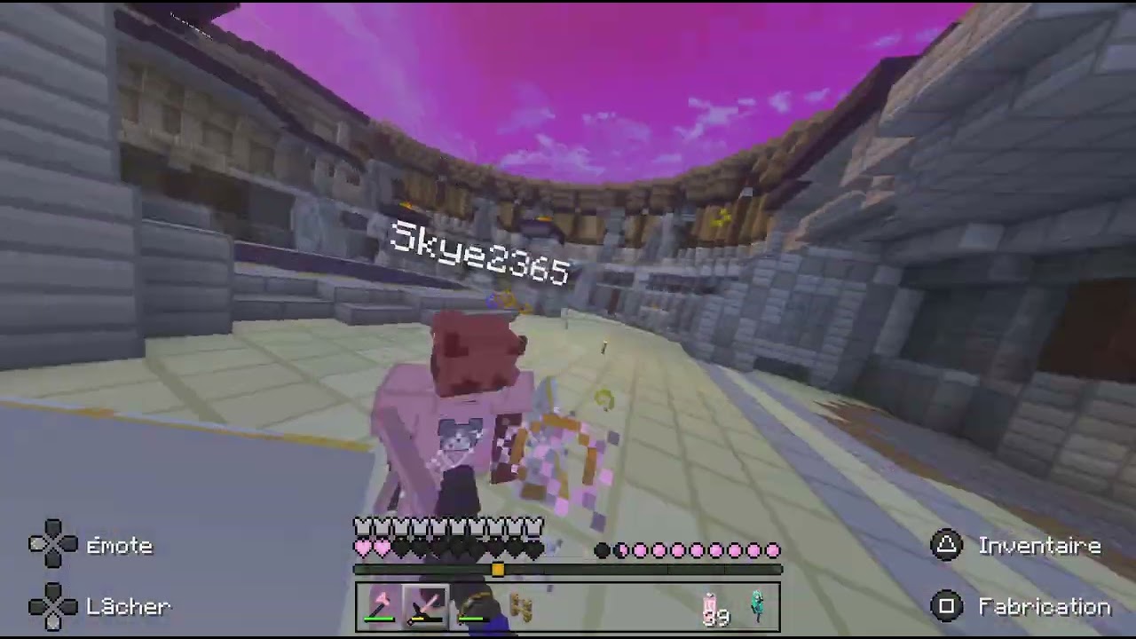 Minecraft_20260223163543
