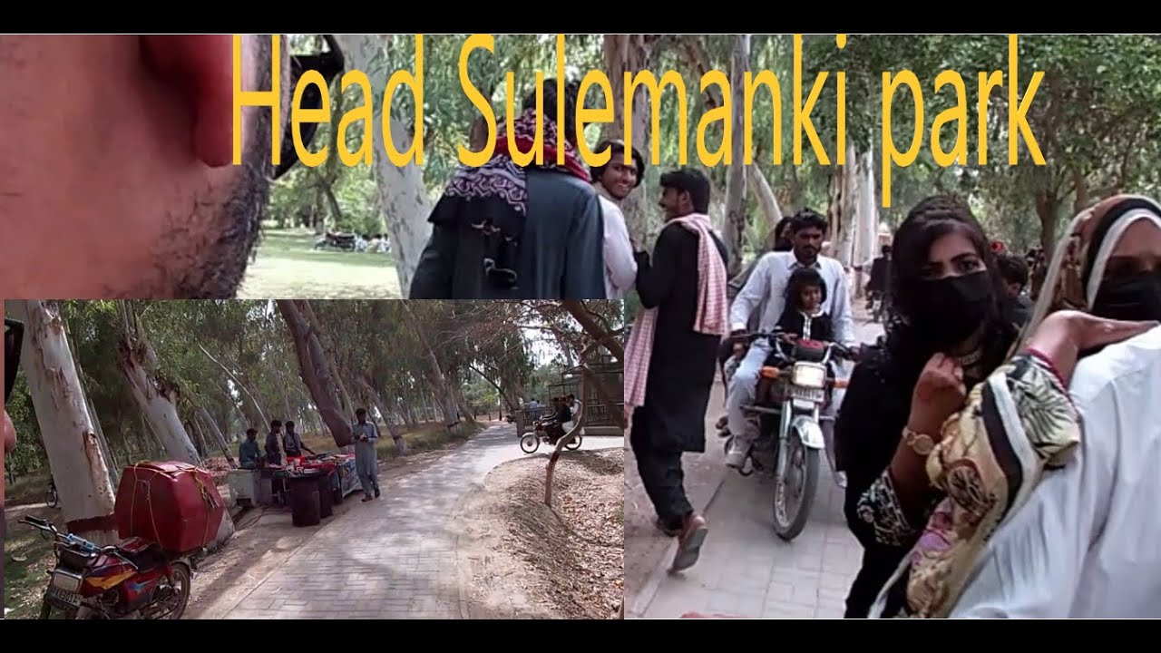 Head Sulemanki park wildlife park head sulemanki 4k