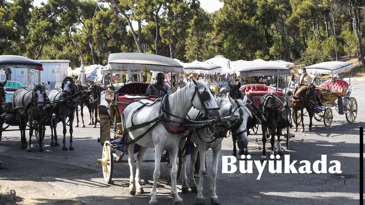 B&uuml;y&uuml;kada Princes' Islands Turkey