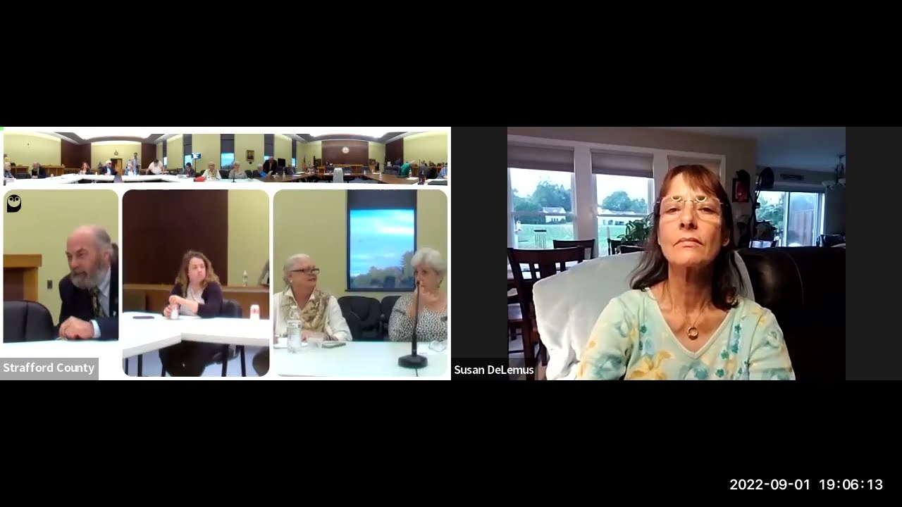 2022 09 01 Delegation Workshop Zoom Video