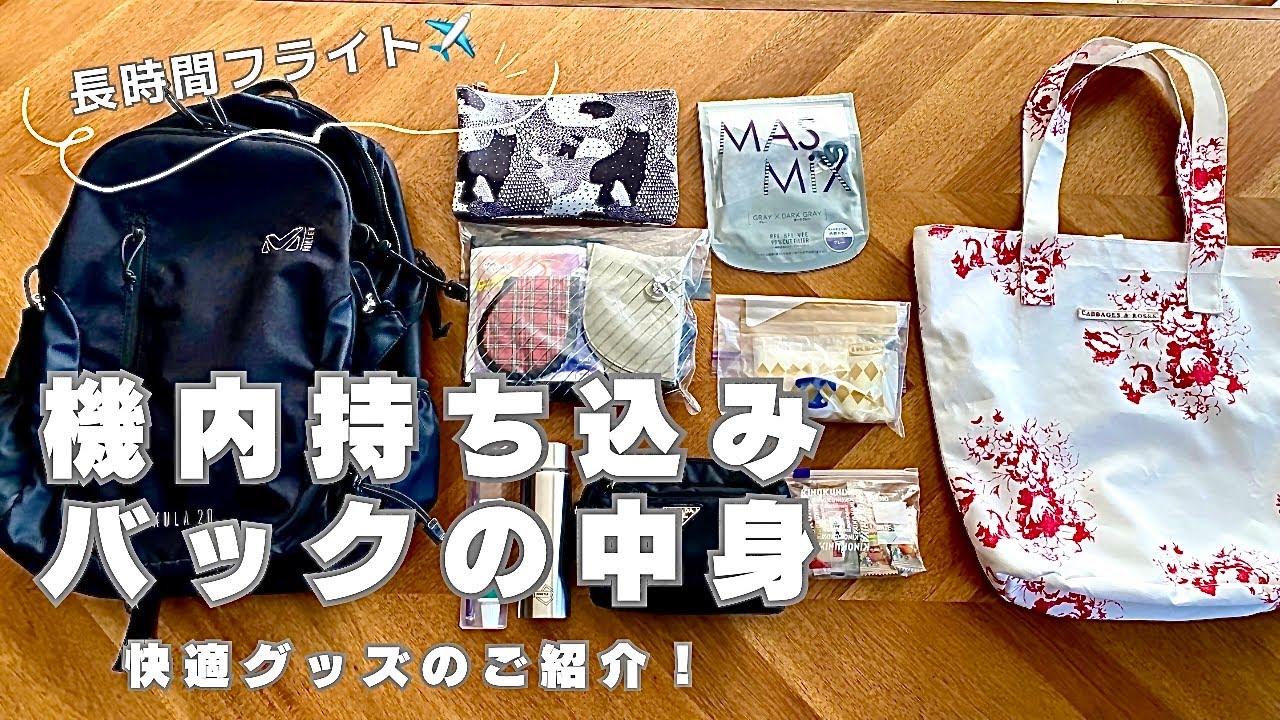 【旅行準備】長時間フライトを快適に♪/機内持ち込み荷物/セキュリティポーチ/海外旅行/国内旅行/旅行グッズ