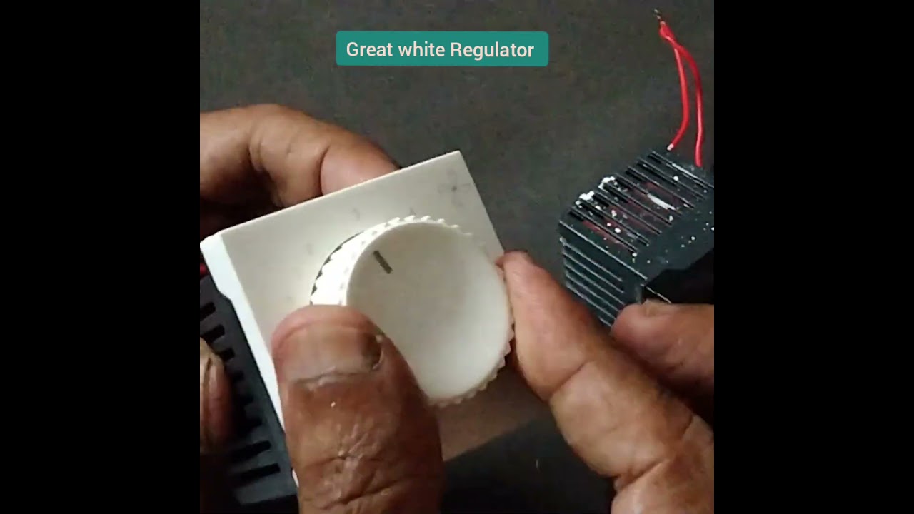 Great white Regulator Riview #shorts