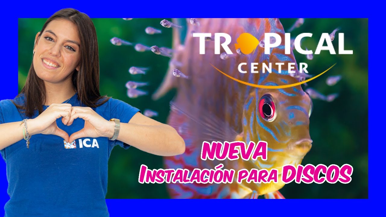 Tropical Center - Nueva instalaci&oacute;n exclusiva para peces Disco