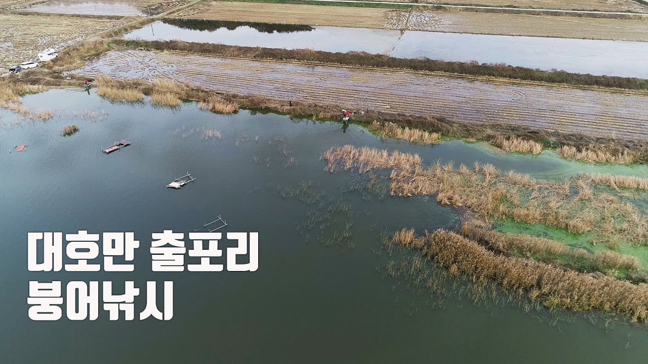 [낚시가 좋다] 30회_초겨울 대호만 붕어낚시