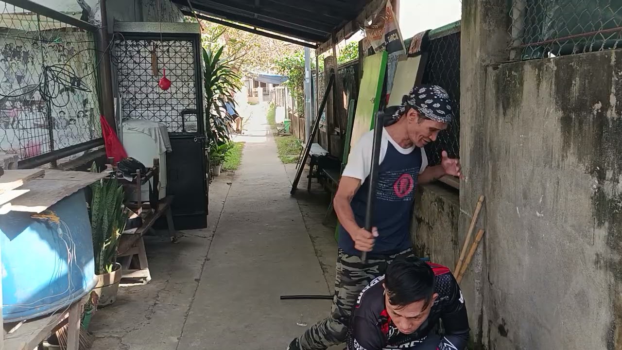 Single stick disarming 
