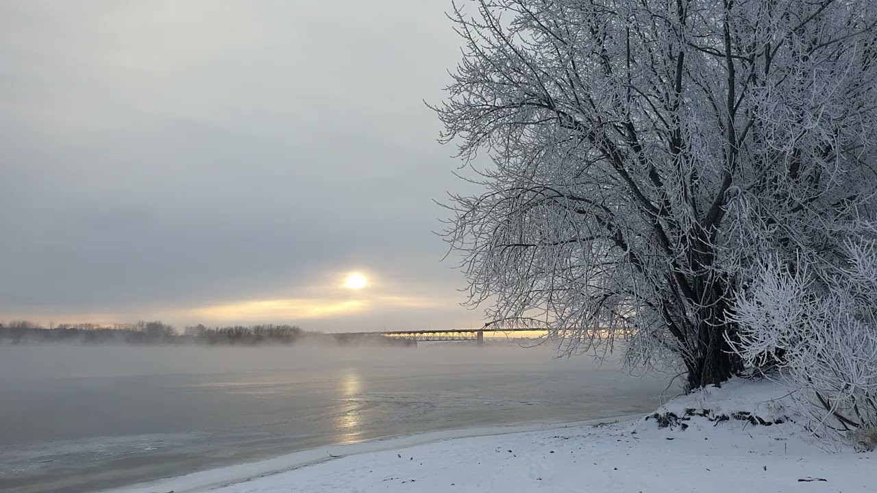8 HOURS  Winter Foggy Moring River & Bird Sounds ASMR