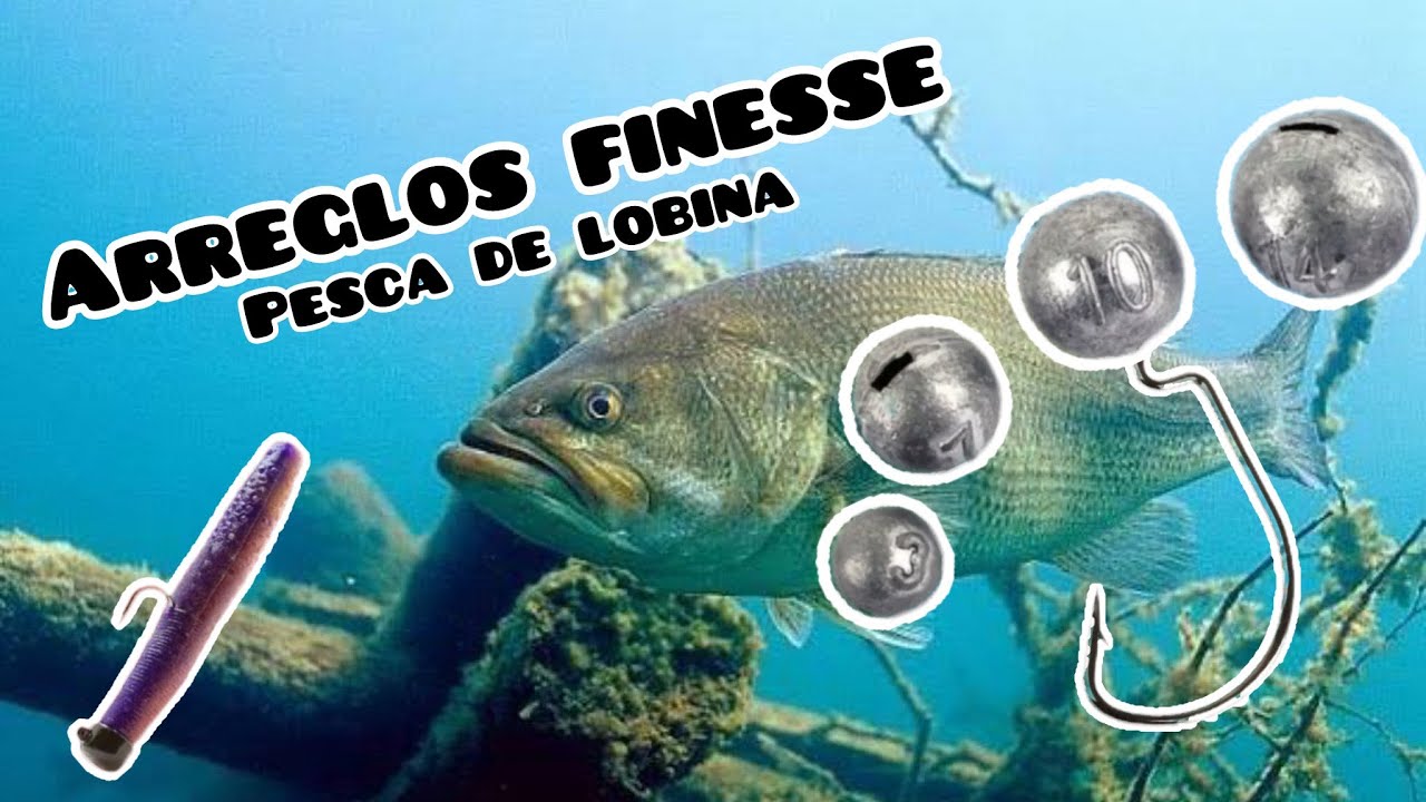 Técnicas Finesse para pescar Lobina🎣