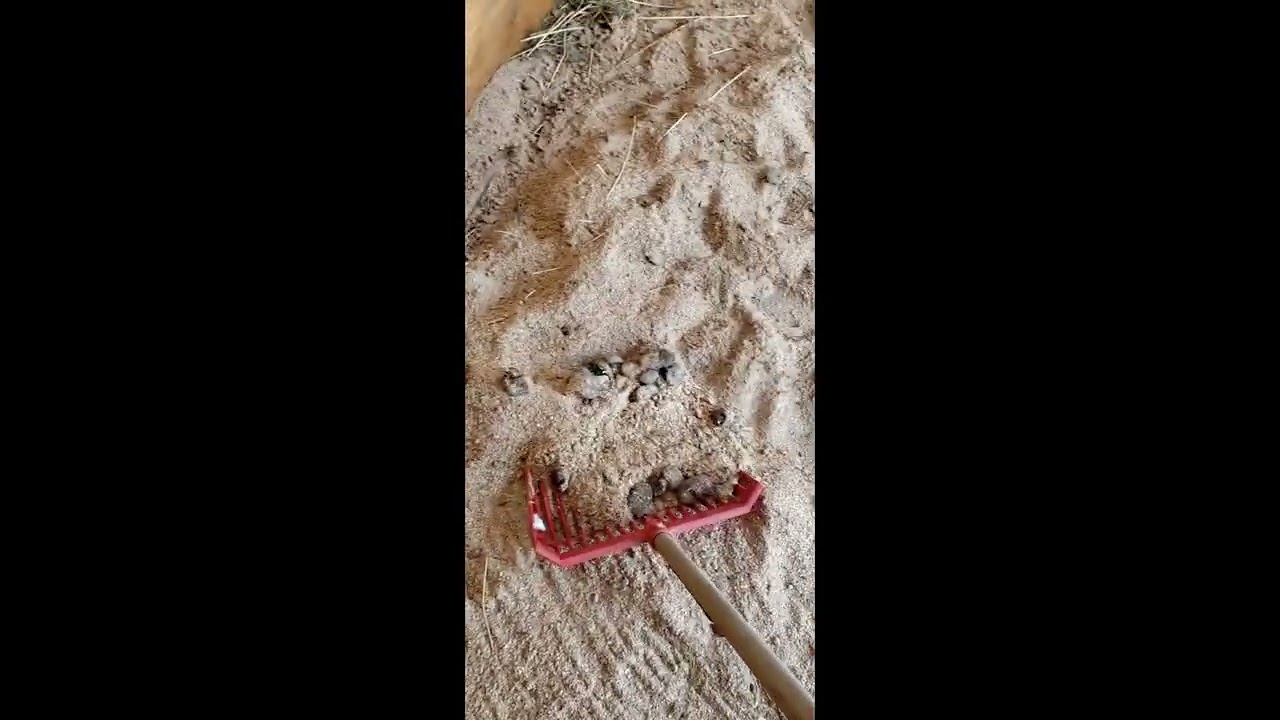 Tractor Supply Pelletized Bedding Part 2