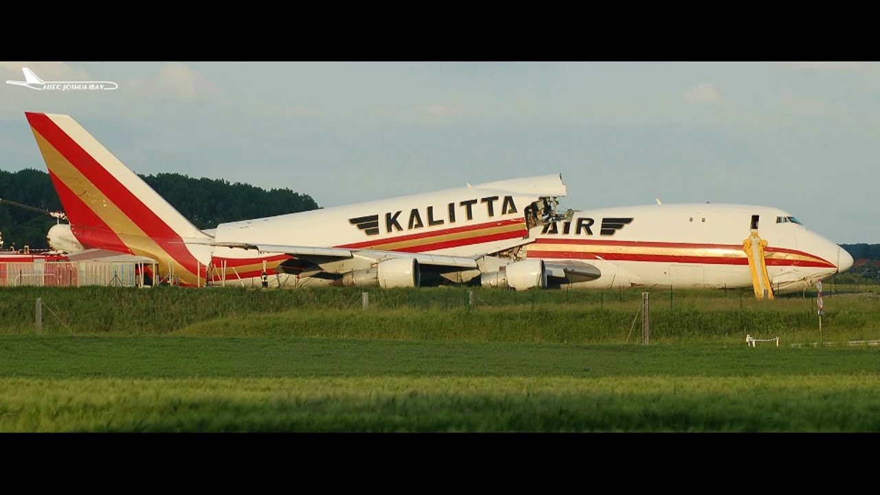 Bird Vs Jumbo Jet | Kalitta Air Flight 207