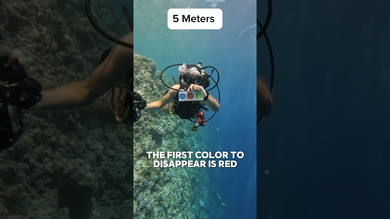 Почему под водой всё кажется синим? 🌊🎨