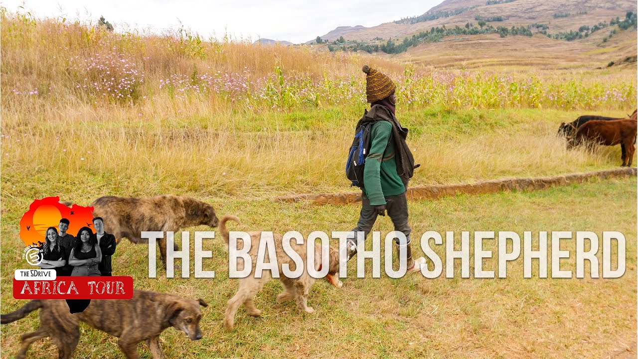 BONUS CONTENT: 🇱🇸 The Basotho Shepherd | 5 Drive Africa Tour