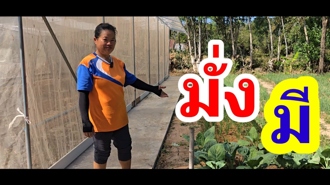 เกษตรข้างฟาร์มตั๊กแตน​