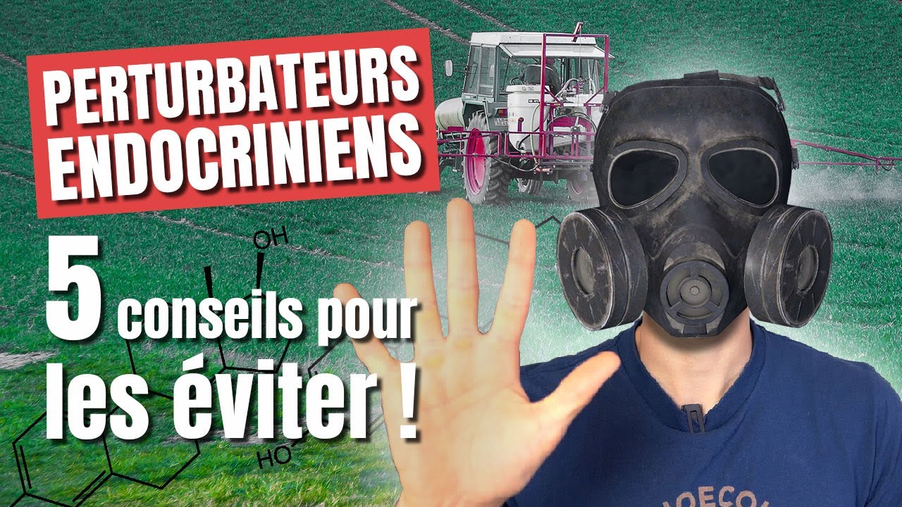 Perturbateurs Endocriniens : 5 Conseils pour les Éviter ❗