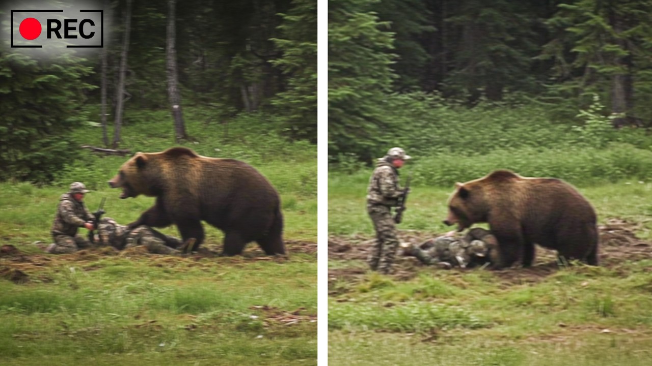 Hunter Touches Stranded Grizzly Bear in Alaska, Then This Happens!