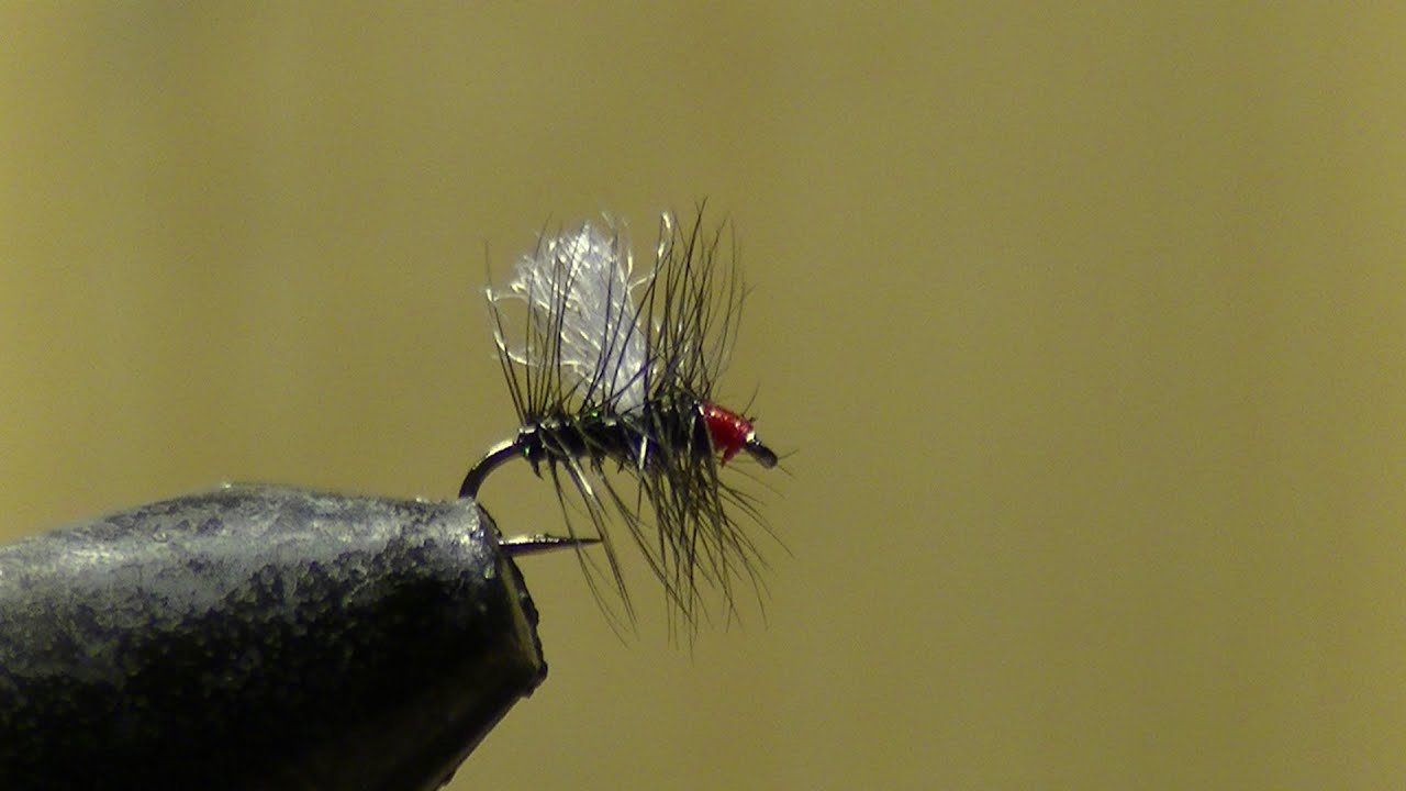 Montage Mouche : Mini palmer eaux vives