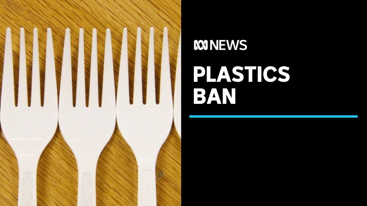 Single use plastics ban from take-away shops comes into force in Hobart | ABC News