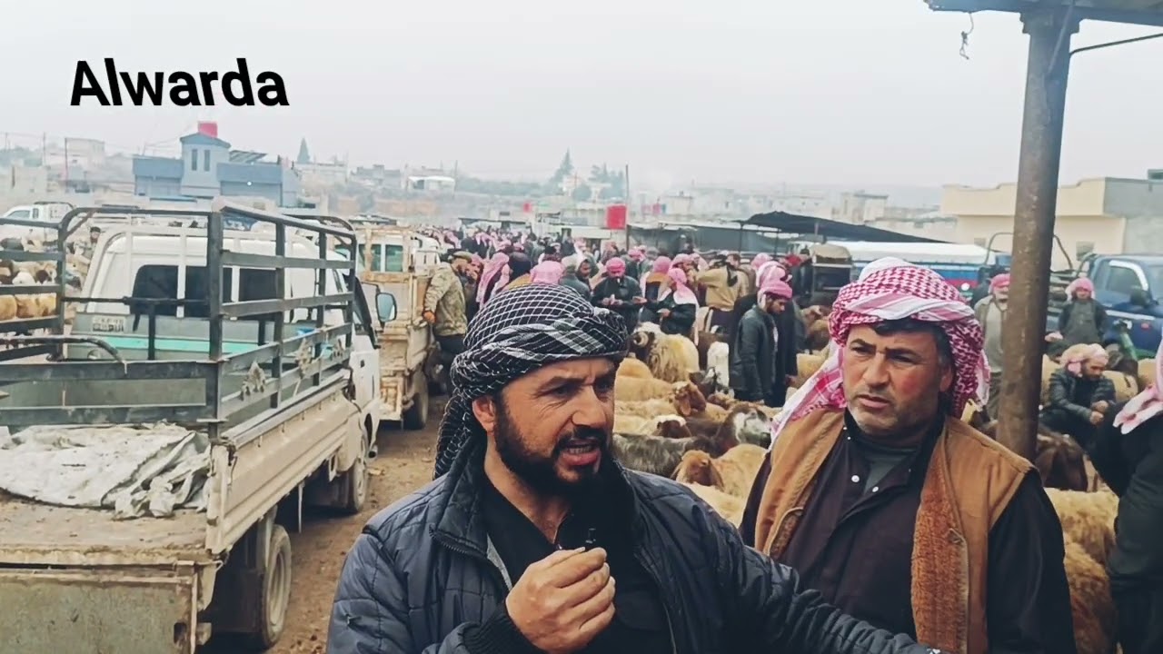 سوق المواشي والطيور بمدينة كرناز بريف حماة الشمالي يفتح يومي الإثنين والخميس من كل إسبوع 
