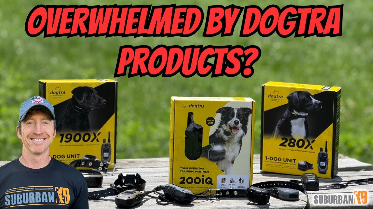 Dogtra 200 iQ Review: Plus How It Fits in the NEW Dogtra Lineup