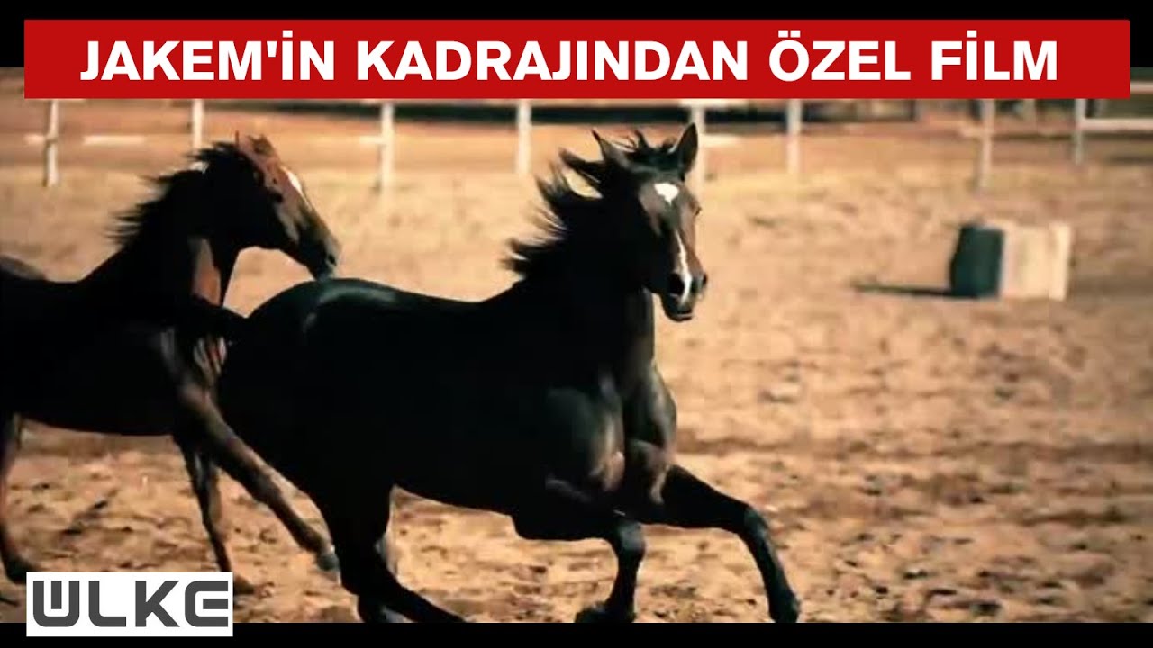 Atlı jandarma birliklerinin eğitim ve görev alanları kısa filmle anlatıldı