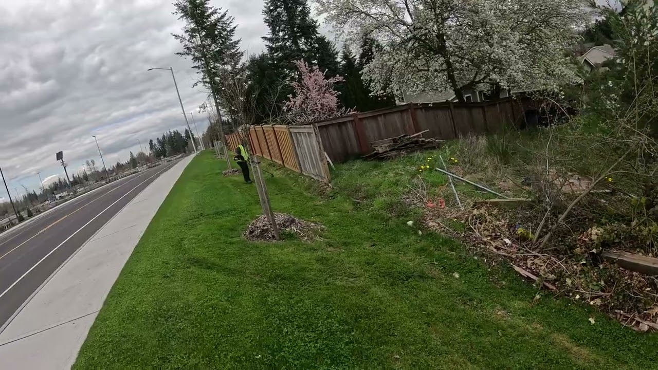 Long Strip of grass