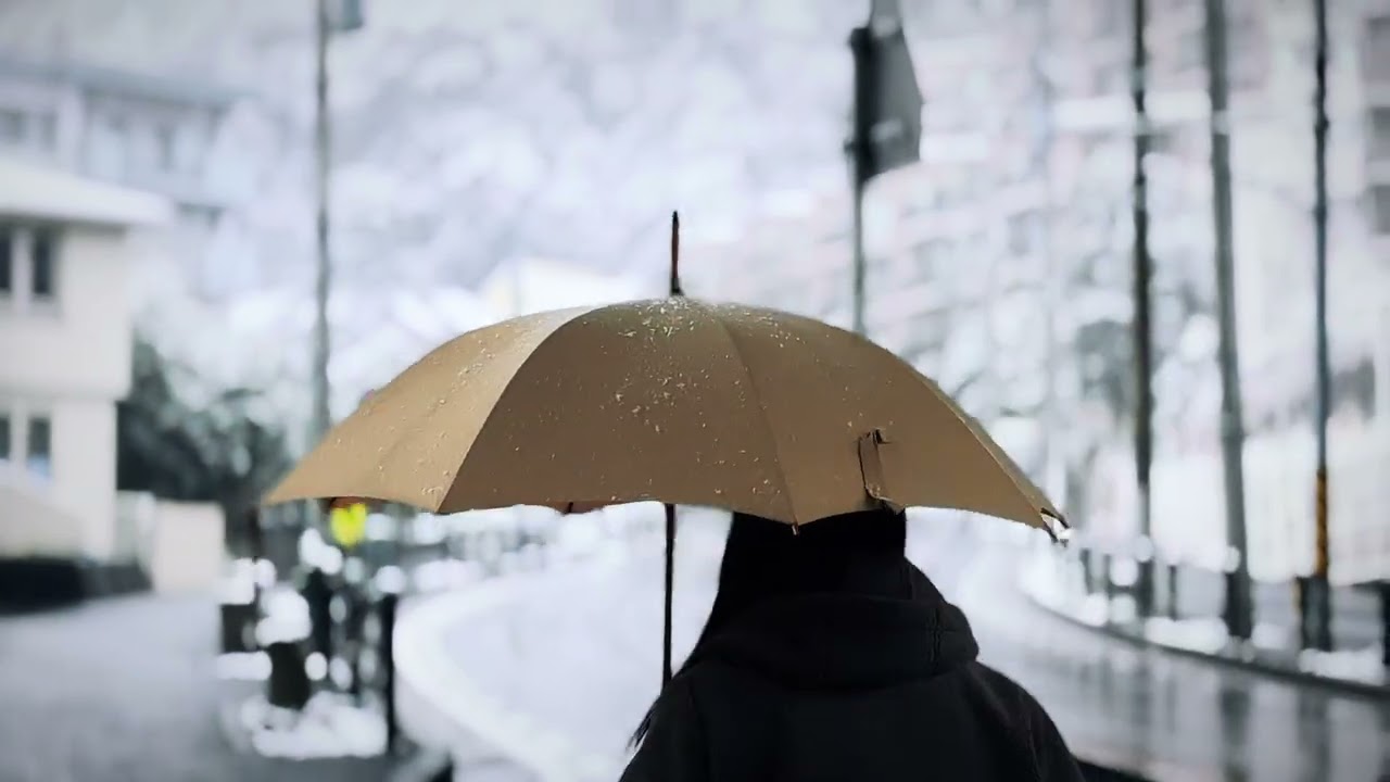 A Snowy Day