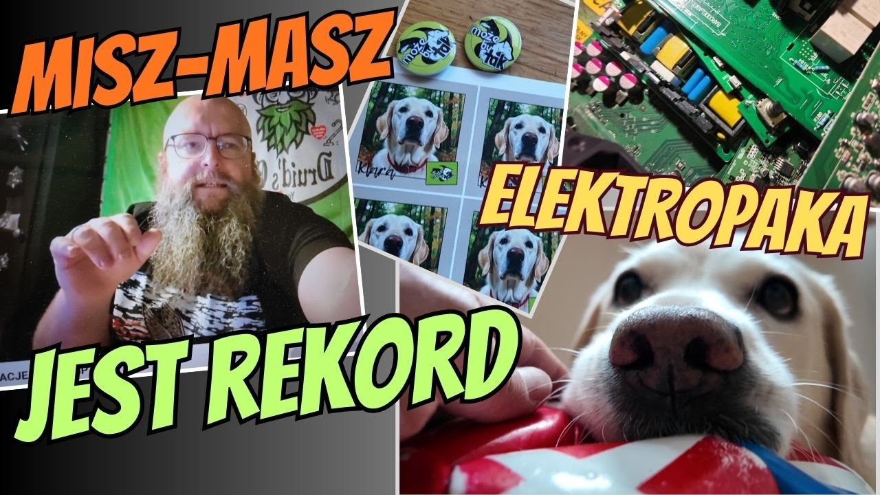 (260) ELEKTROPAKA wysyłka elektroniki krok po kroku. Wynik aukcji 