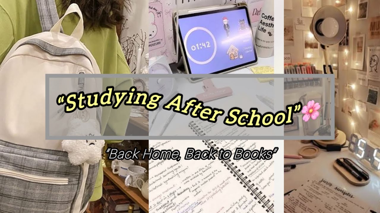 After School Study Vlog📚  | Calm & Focused Evening